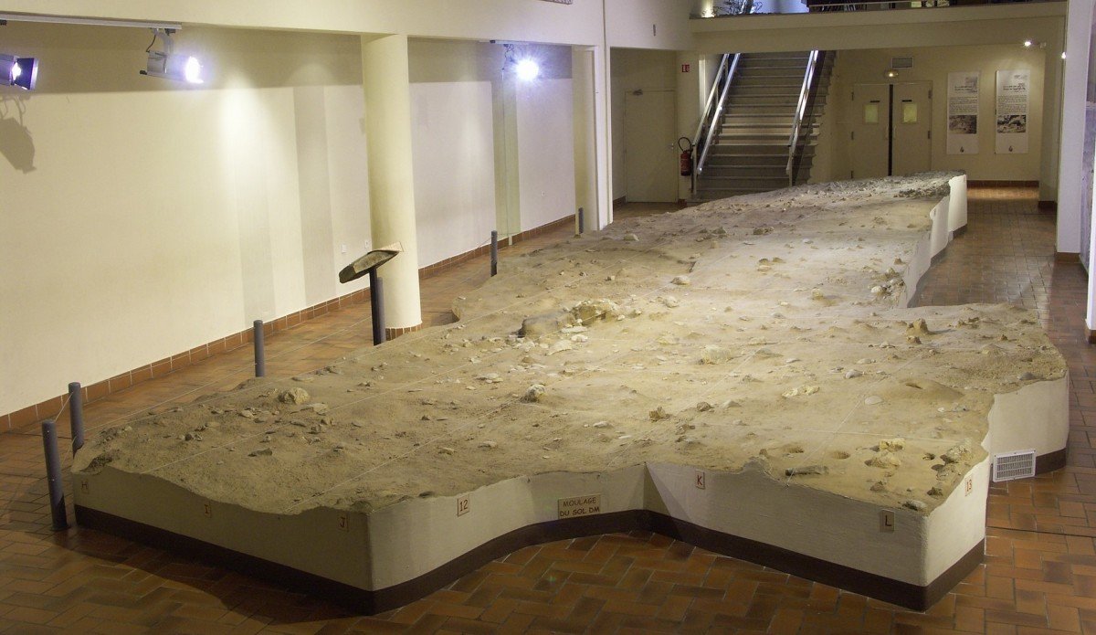 테라 아마타 선사 박물관(뮈제 드 프레히스투아르 드 테라 아마타)